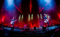 Placebo