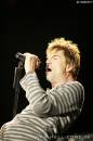 Die Toten Hosen 35