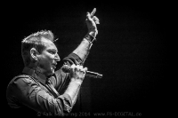 T.O.Y. - Berlin 2014