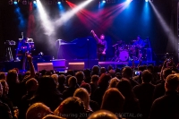 SOLITARY EXPERIMENTS - The 20th Anniversary Celebration 2014