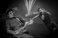 SOLITARY EXPERIMENTS - The 20th Anniversary Celebration 2014