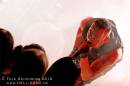 Battle Scream 25